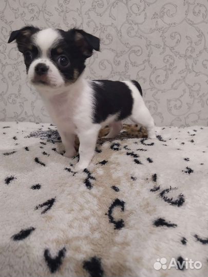 Космический мальчик