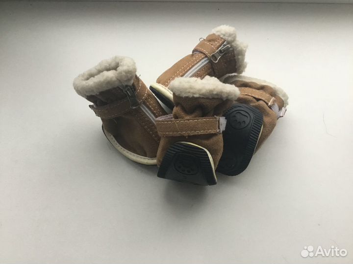 Товары для животных