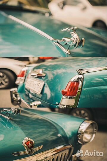 Видеооператор