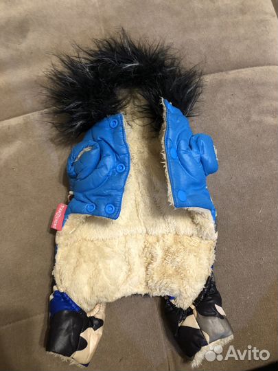 Продам комбинезон для маленькой собачки