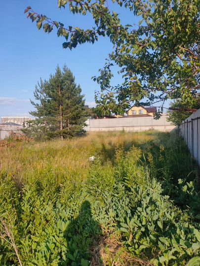 Участок 8,5 сот. (ИЖС)