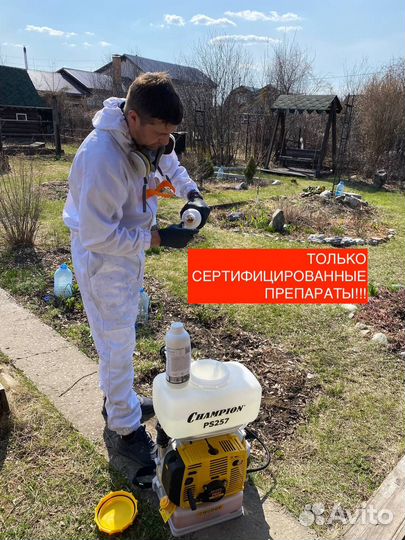 Обработка участка от клещей и комаров