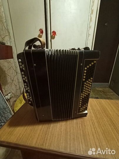 Тульский Баян РСФСР