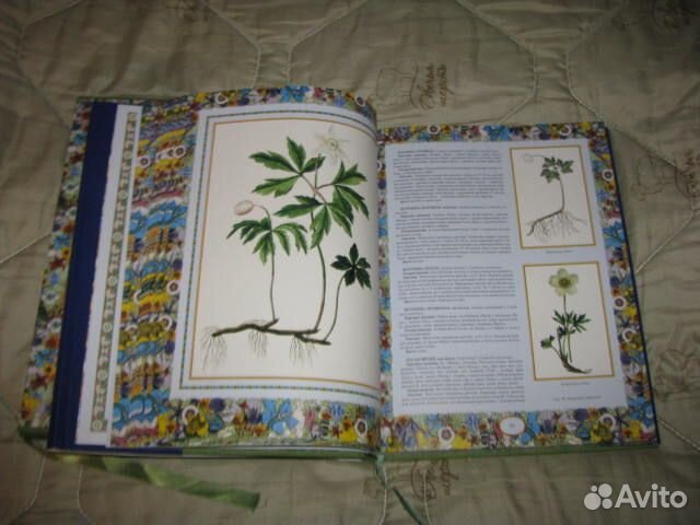 Язык цветов- русский травник