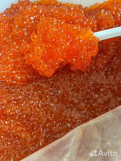 Икра красная, премиум горбушевая