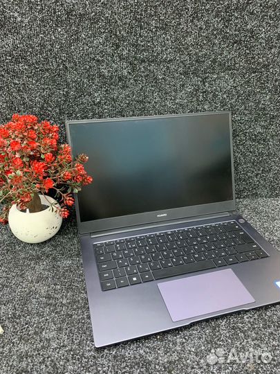 Ноутбук huawei MateBook D 14NbD-WDI9