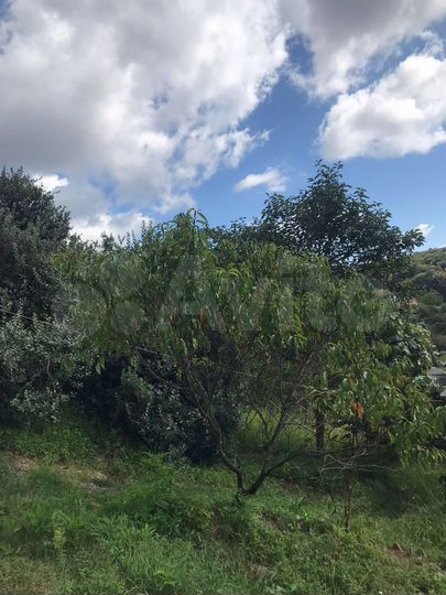 Участок 7 сот. (СНТ, ДНП)