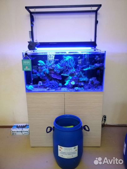 Перевозка морских аквариумов