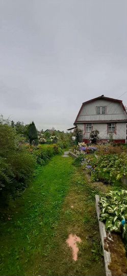 Дача 43,5 м² на участке 6 сот.