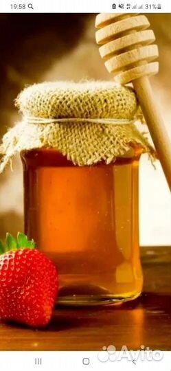 Мед пчелиный