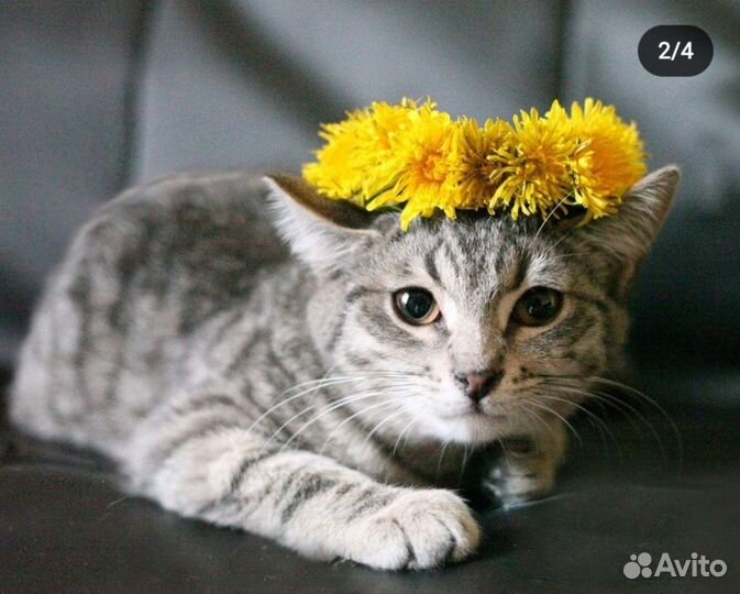 Селена 4 месяца