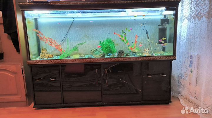 Аквариум