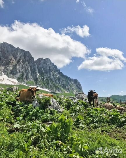 Поход через горы к морю. Легендарная тридцатка