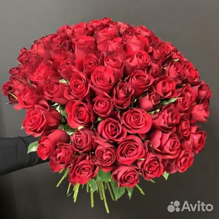 101 роза Доставка Букеты 101 Роза Цветы