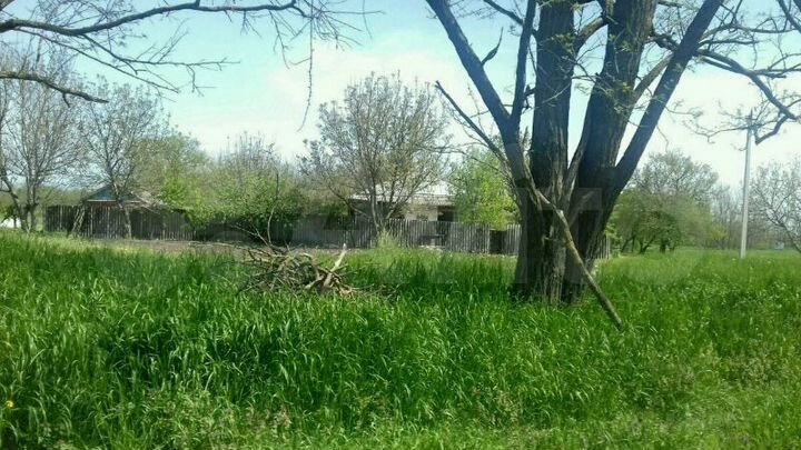 Участок 20 сот. (ИЖС)