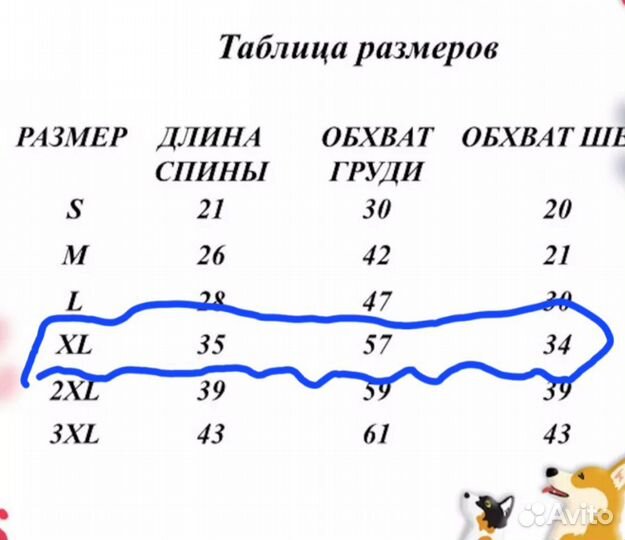 Одежда для собак
