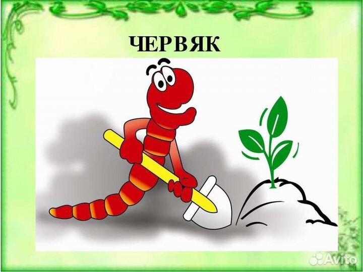 Червь старатель для удобрения