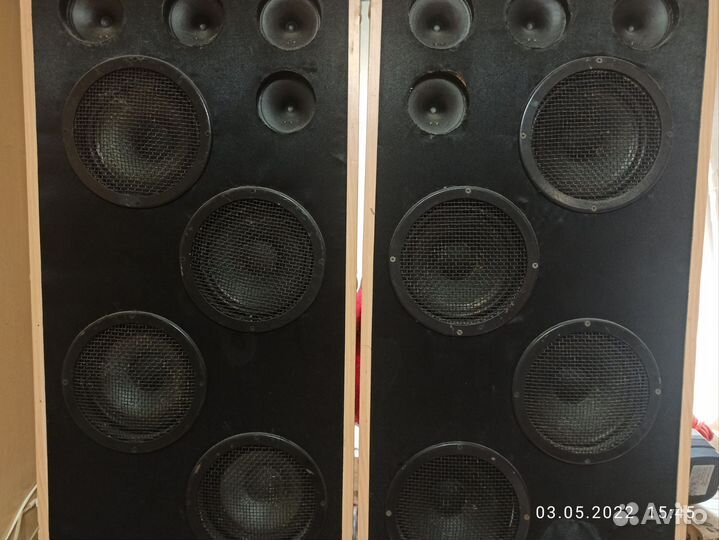 Калонки Родина