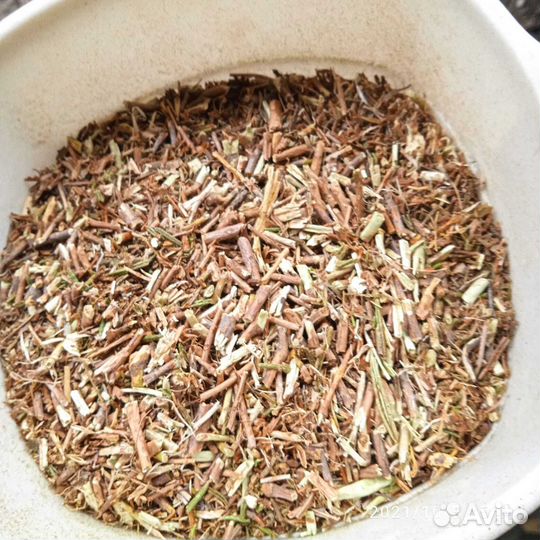 Багульник болотный рез 10-12 мм 2022 год