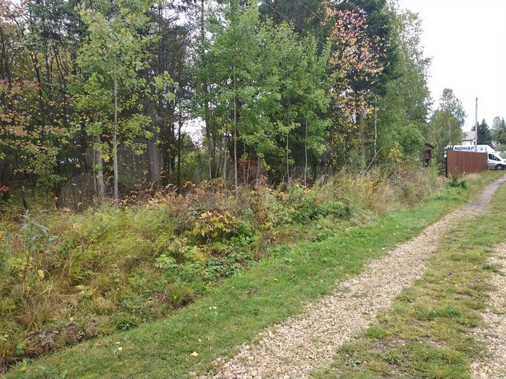 Участок 10 сот. (СНТ, ДНП)