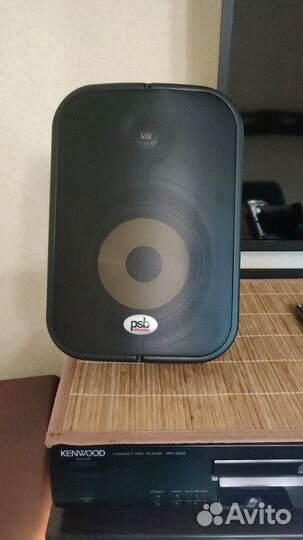 Акустическая система PSB CS500