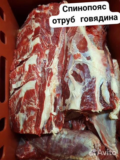 Спинно-поясничный отруб говядина