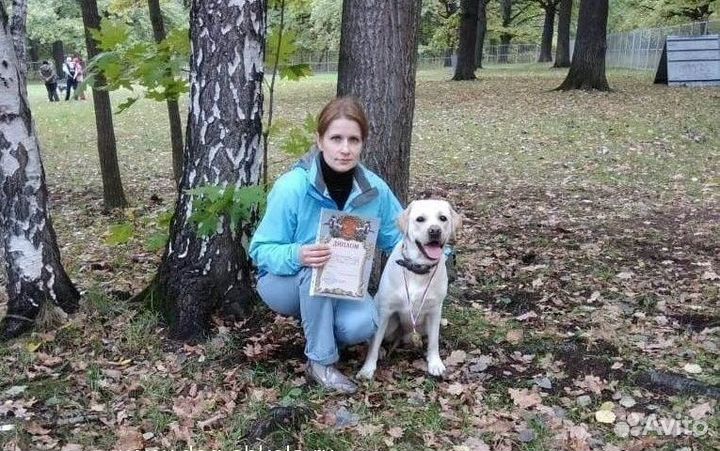 Дрессировка собак. Инструктор-дрессировщик