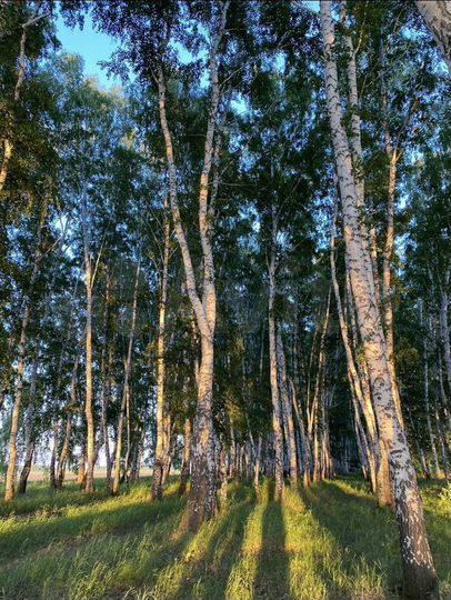 Участок 14 сот. (ИЖС)