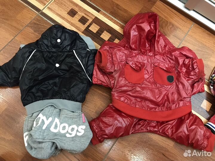 Одежда для маленькой собаки