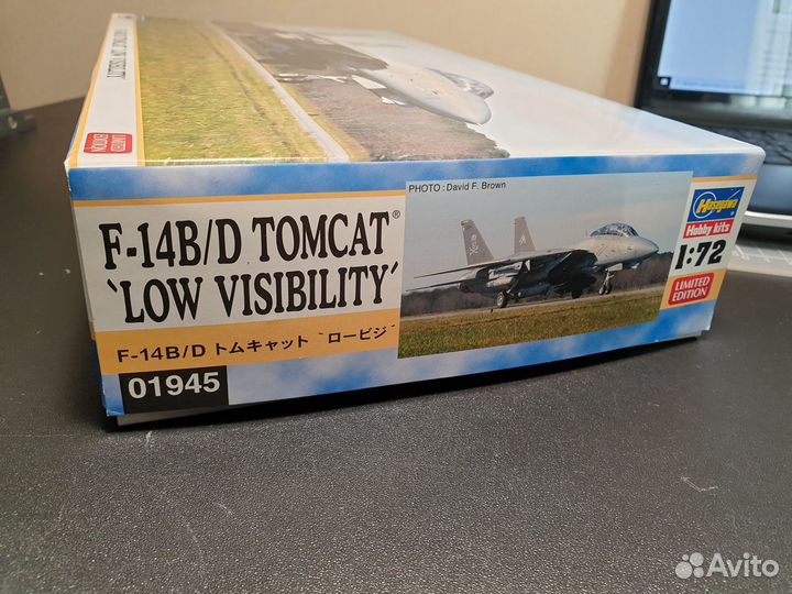 Hasegawa 01945 F-14B/D 
