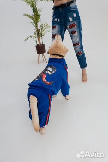 Спортивный костюм/одежда для собак