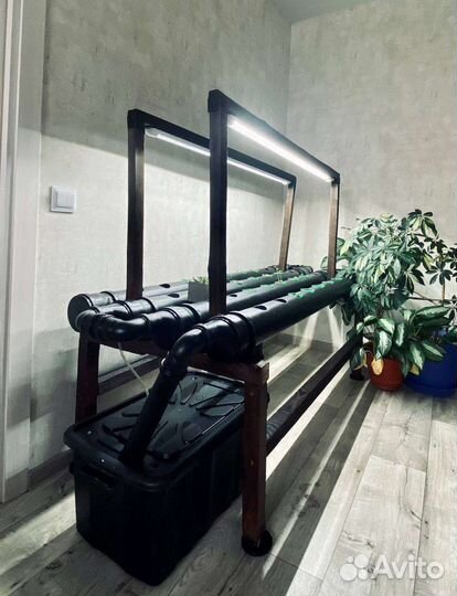 Гидропонная грядка black pot