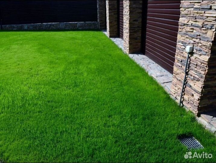 Рулонный газон Элитный от производителя