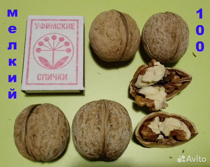 Грецкий орех