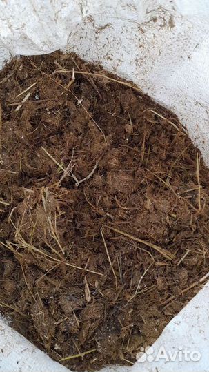 Навоз конский