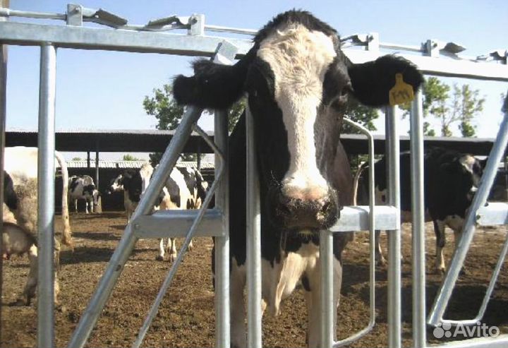 Поилки для крс, хедлоки, стойловое оборудование