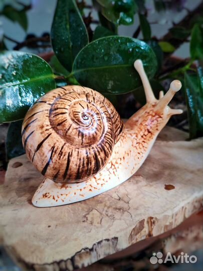 Статуэтка фарфор Улитка подарок сувенир