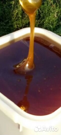 Тёмное разнотравье. Оптом от 100кг