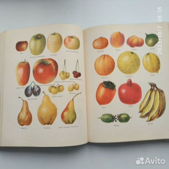 Кулинария 1955 г. госторгиздат
