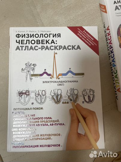 У. Кэпит Атлас раскраска по физиологии