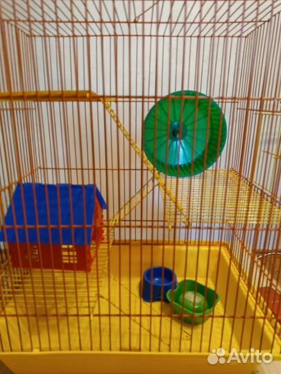 Клетка для сирийского хомяка