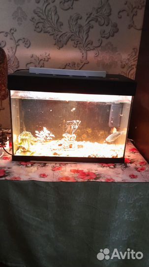 Аквариум с подсветкой и фильтром