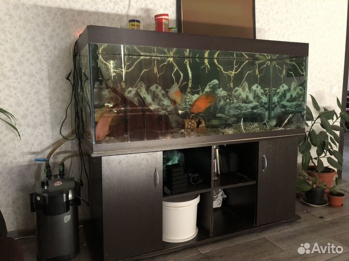 Аквариум с тумбой 500 литров