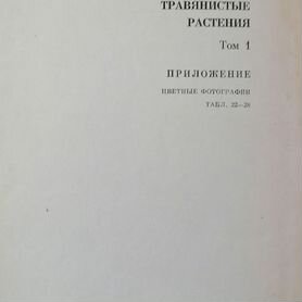 Декоративные травянистые растения