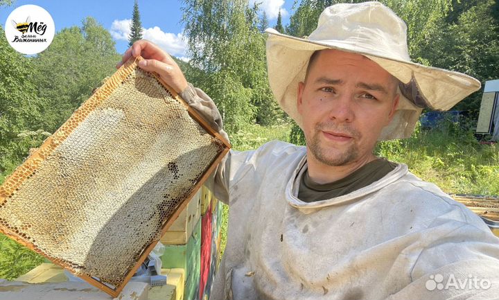Мед свежий 2023. Гречишный, липовый, акациевый