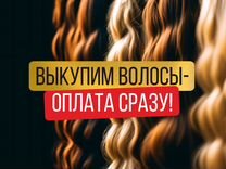 Скупка волос продать купим волосы Славгород