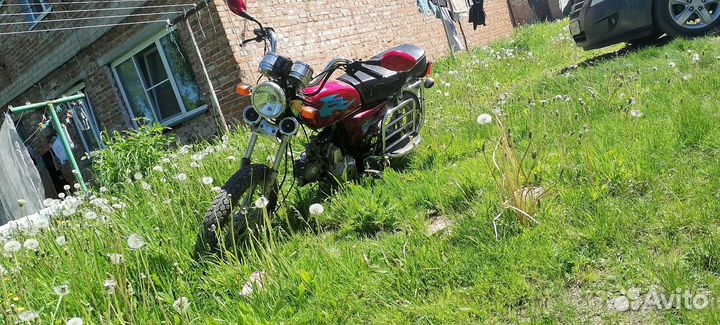 Альфа 2010 года