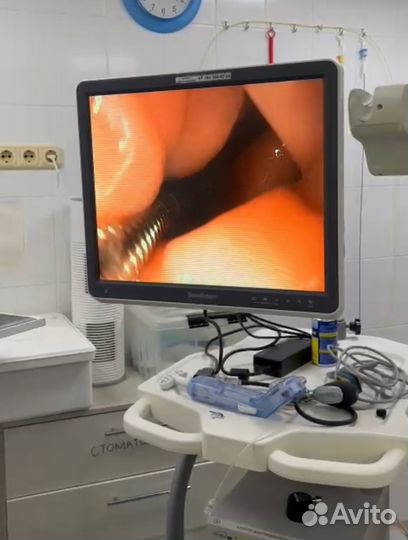 Удаление инородных тел у собак и кошек