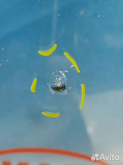 Стекло лобовое Renault megane 2