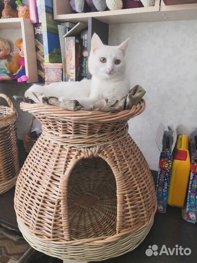 Домик для кошки